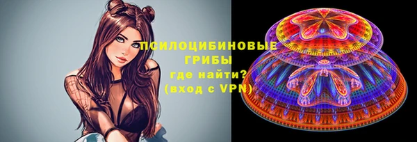 spice Заволжье