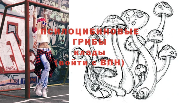 spice Заволжье