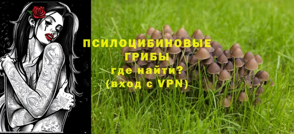 ALPHA-PVP Заводоуковск
