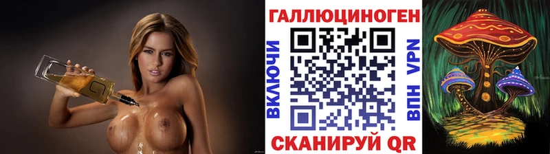 Псилоцибиновые грибы Psilocybe  Звенигород 